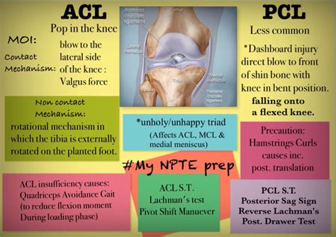 acl and pcl tear test|difference between acl and pcl.